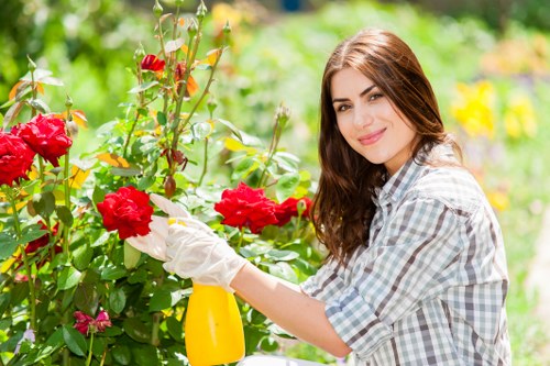 Horticultural specialist inspecting plants and soil