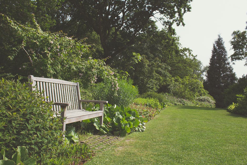 A peaceful garden scene featuring a wooden garden bench situated on a neatly maintained lawn. The lush grass stretches out with a tidy edge along flowerbeds filled with leafy plants and flowering shru